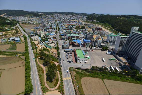 울진군 전경