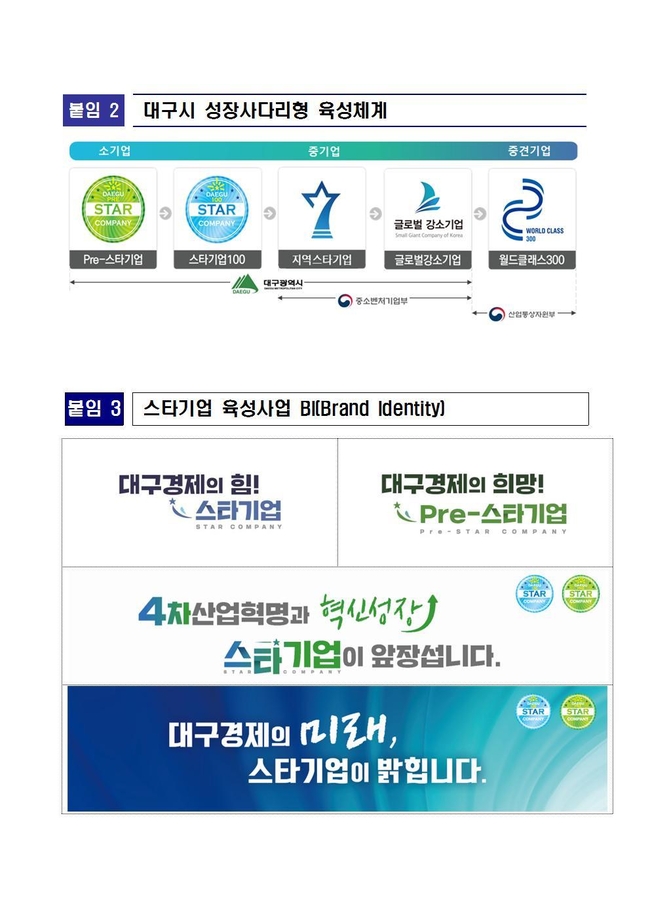 대구시 ‘스타기업 육성사업’