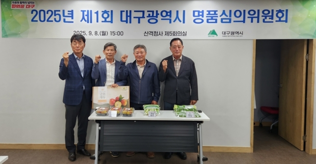 대구광역시 명품심의위원회’