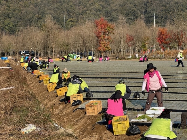 2025_농촌일손돕기_사진_