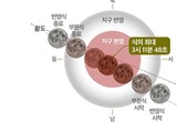 영천시 보현산천문과학관, 개기월식 ‘블러드문’ 관측행사 열려