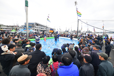 가을, 풍성한 울진의 바다와 만나다 秋 울진 ‘죽변항 수산물 축제’