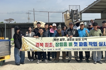포항시, 경상북도 내 최초 장립종 재배, 1ha 시범단지 조성